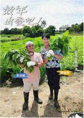 国产综合区 资讯